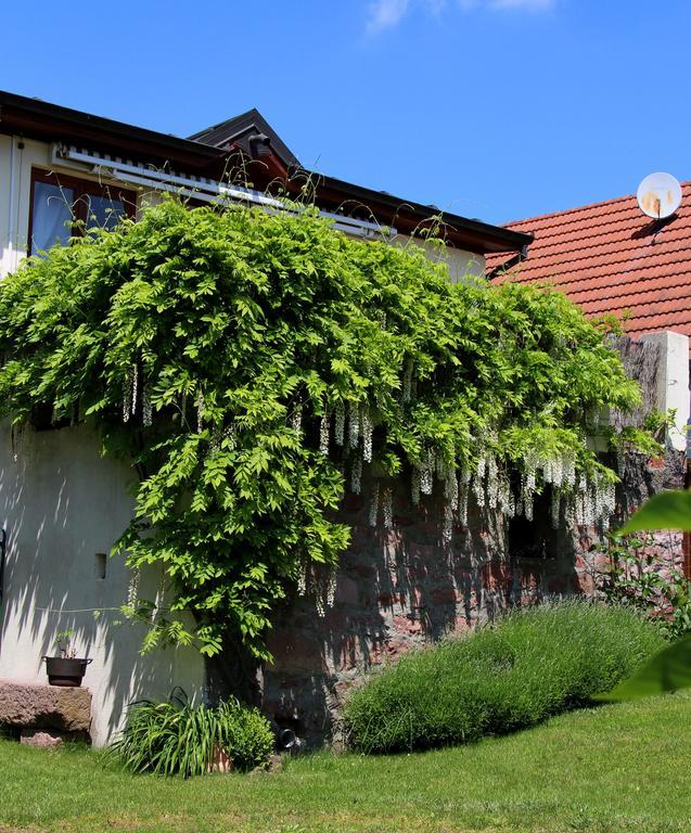 Villa Les 3 Ceps à Bergholtz Extérieur photo